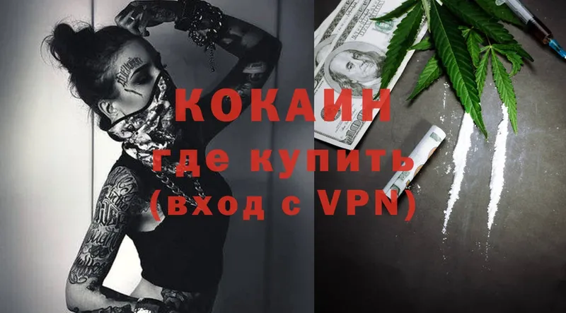 где купить наркоту  Иркутск  Cocaine Fish Scale 